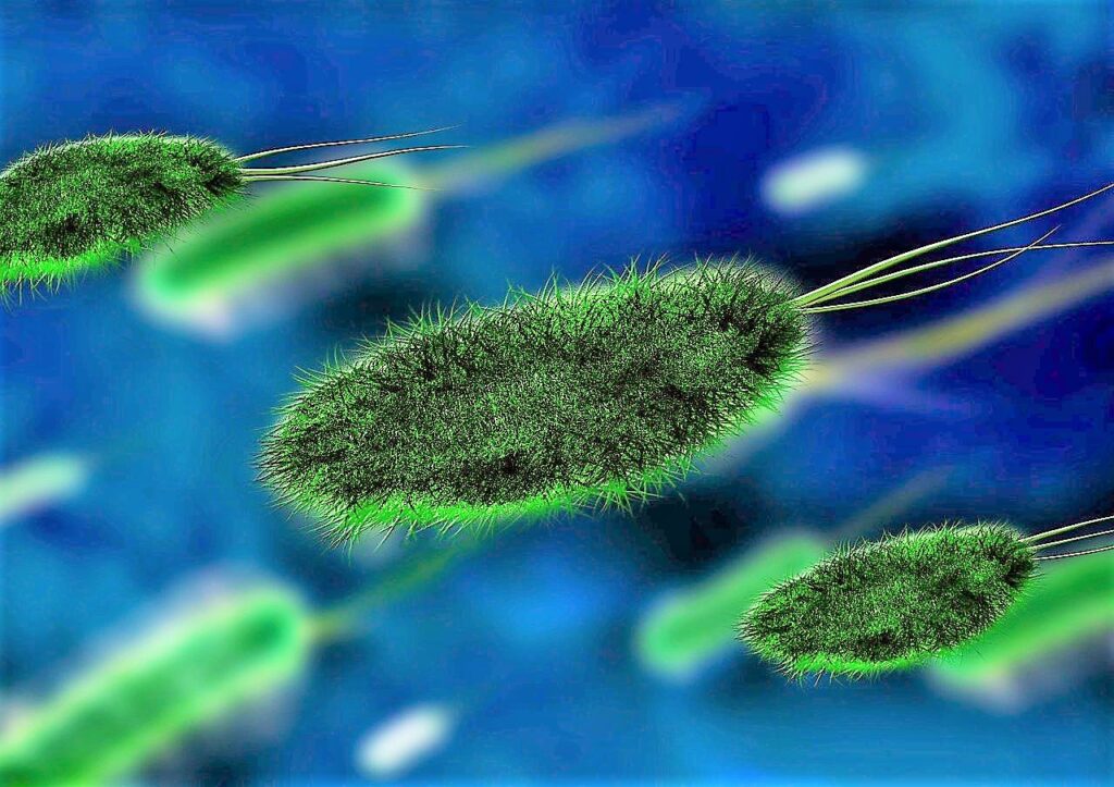 Environmental Mircrobe Image