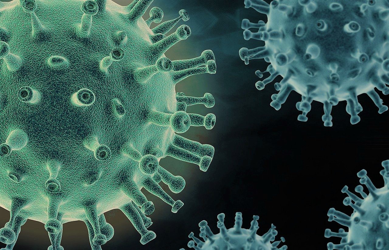 Zoonotic Disease Image